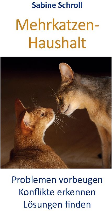 Mehrkatzen-Haushalt