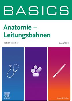 BASICS Anatomie - Leitungsbahnen