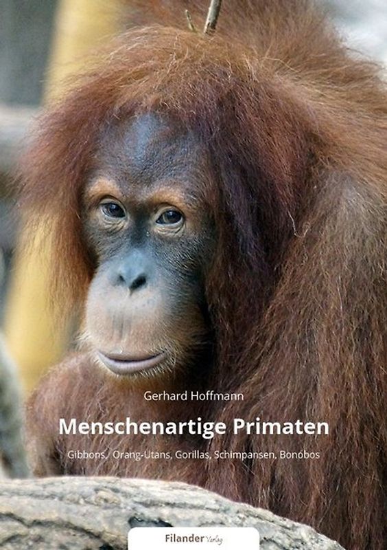 Menschenartige Primaten