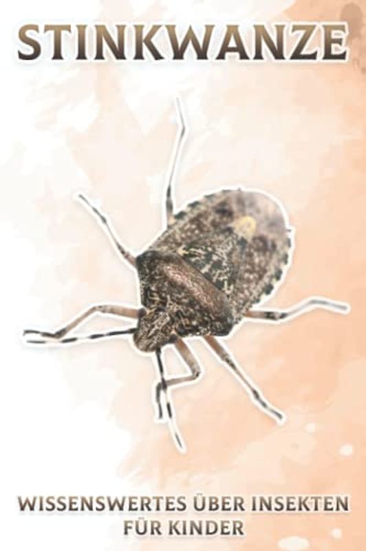 Stinkwanze: Wissenswertes über Insekten für Kinder #15