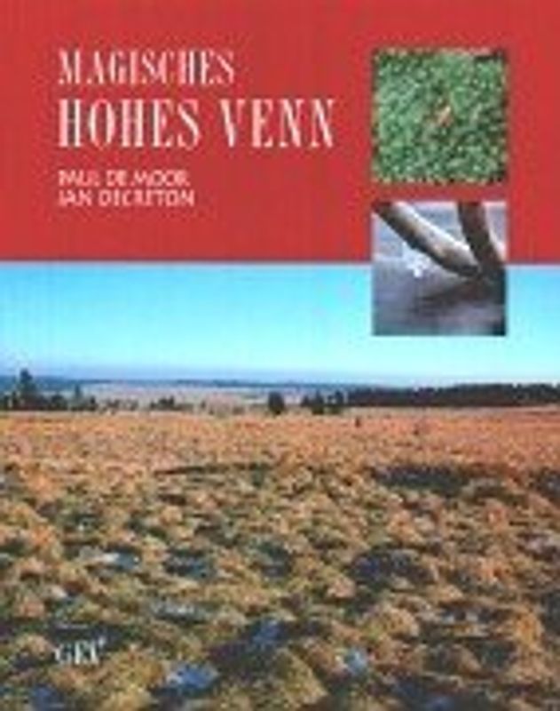 Magisches Hohes Venn