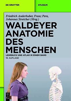 Waldeyer - Anatomie des Menschen