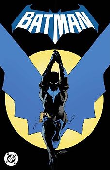 Batman Vol. 1: Daylight
