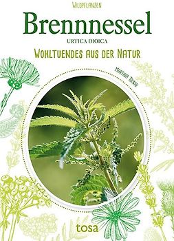Brennnessel