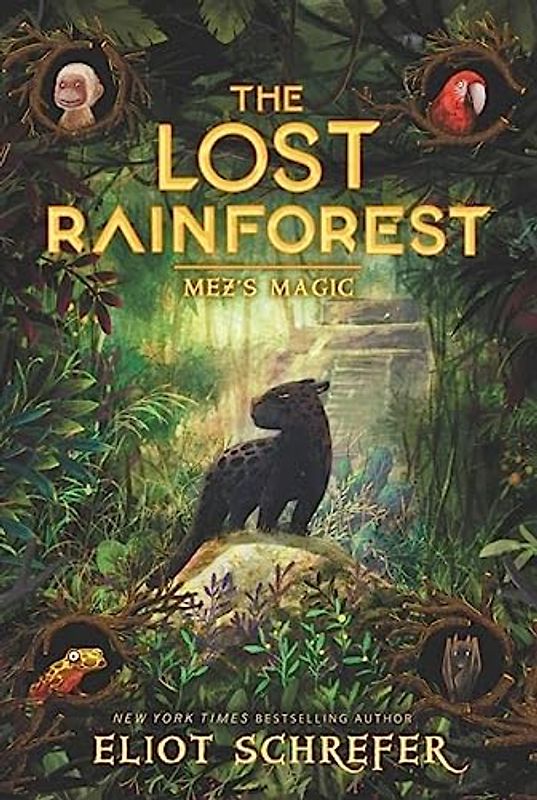 The Lost Rainforest #1: Mez's Magic