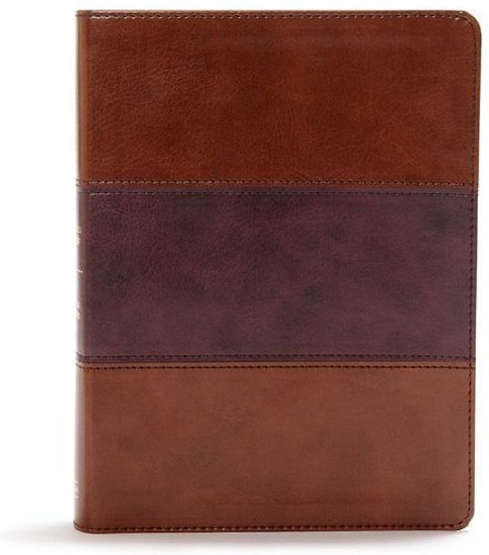 CSB Apologetics Study Bible, Mahogany Leathertouch, Indexed