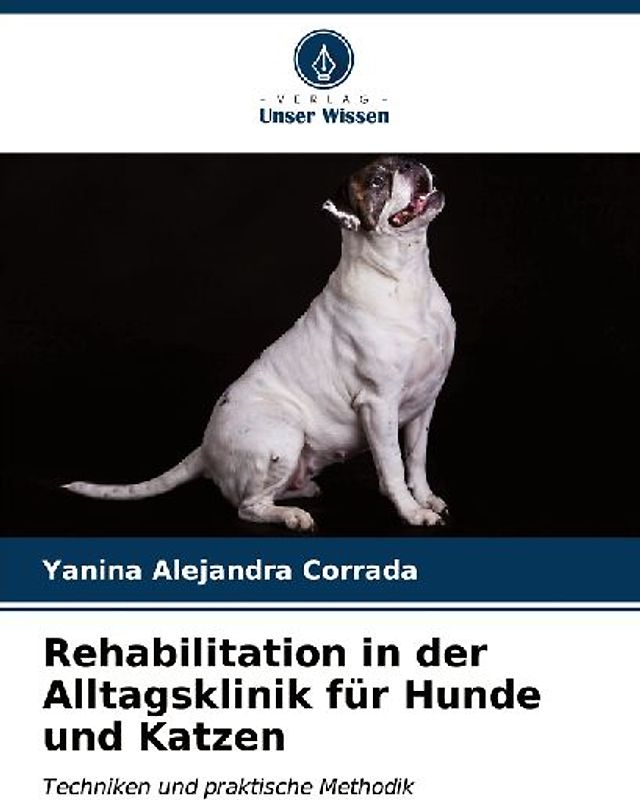 Rehabilitation in der Alltagsklinik für Hunde und Katzen