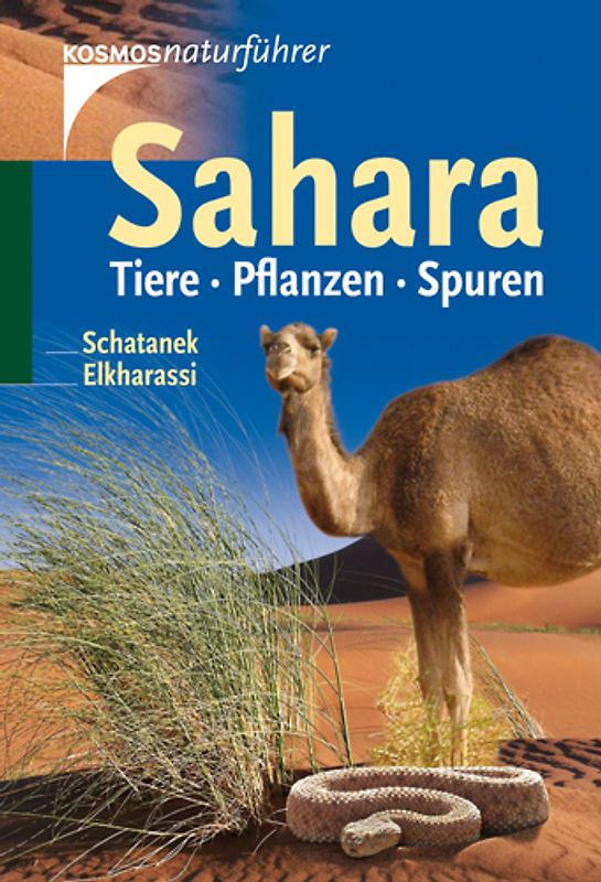 Sahara. Tiere. Pflanzen. Spuren