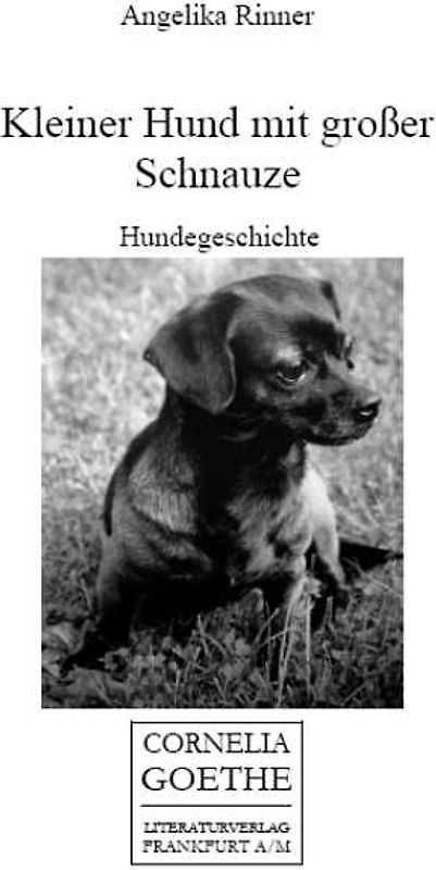 Kleiner Hund mit großer Schnauze. Hundegeschichte