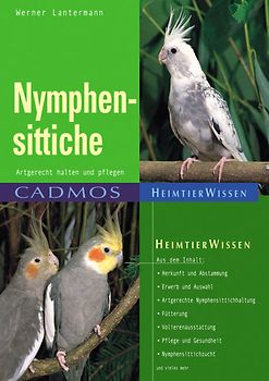 Nymphensittiche
