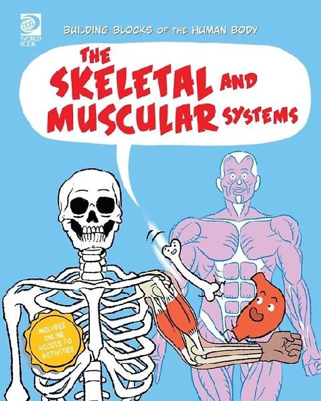 The Skeletal and Muscular Systems