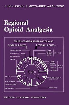 Regional Opioid Analgesia