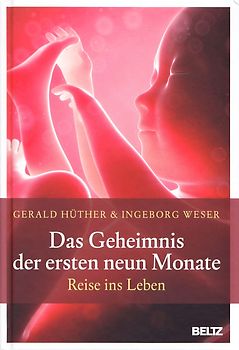 Das Geheimnis der ersten neun Monate