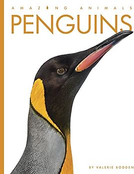 Penguins (Amazing Animals)