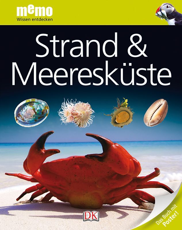 Strand & Meeresküste