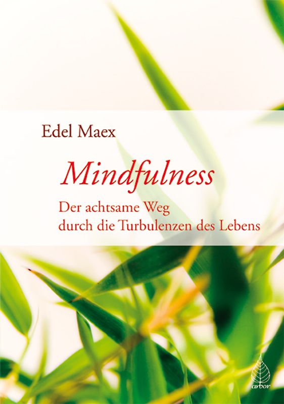 Mindfulness. Der achtsame Weg durch die Turbulenzen des Lebens