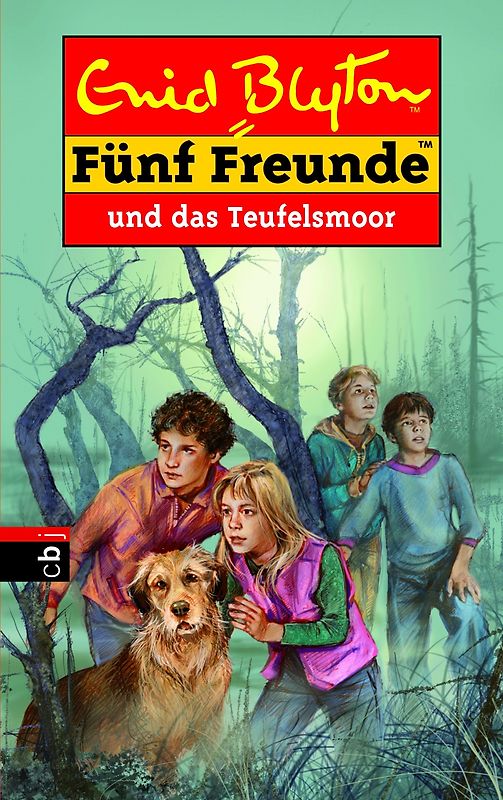 Fünf Freunde. Spannende Geschichten für Jungen und Mädchen / Fünf Freunde und das Teufelsmoor