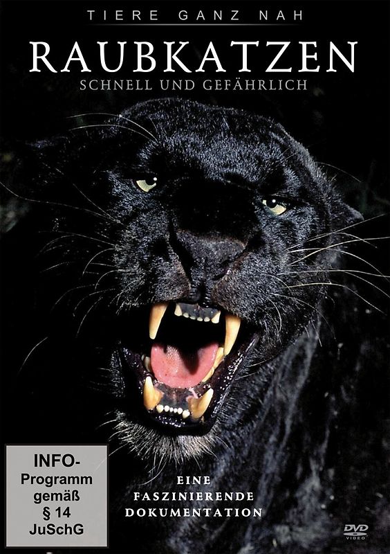 Raubkatzen-Schnell und gefährlich DVD