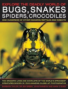 Explore the Deadly World of Bugs, Snakes, Spiders & Crocodiles