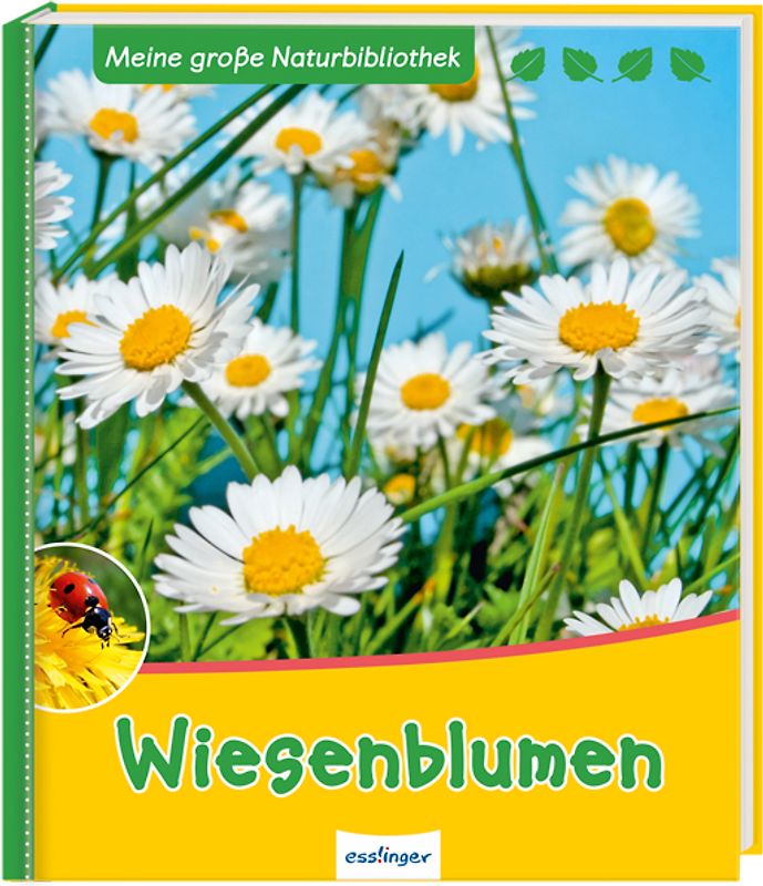 Meine große Naturbibliothek: Wiesenblumen