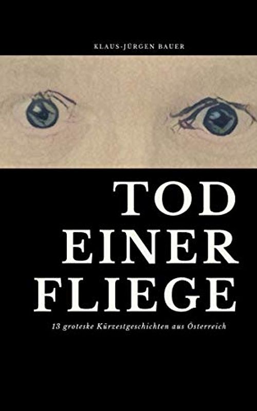 Tod einer Fliege: 13 groteske Kürzestgeschichten aus Österreich