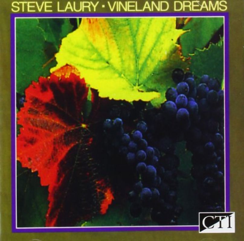 Steve Laury - Vineland Dreams