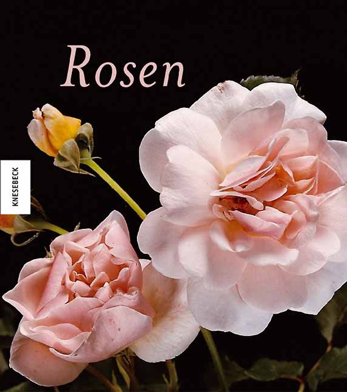 Rosen