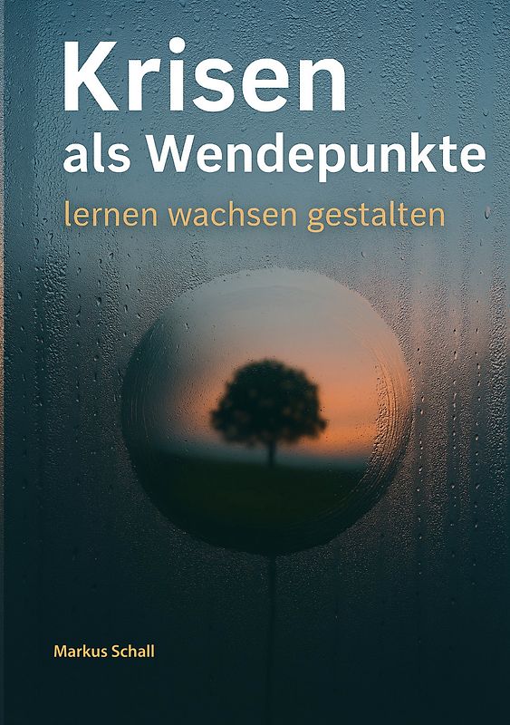 Krisen als Wendepunkte