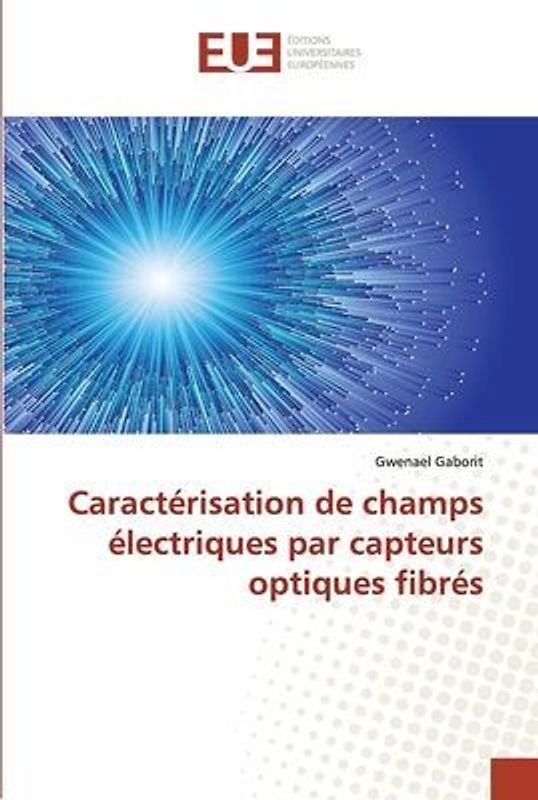 Caractérisation de champs électriques par capteurs optiques fibrés