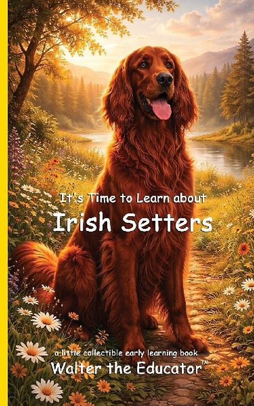 It's Time to Learn about Irish Setters