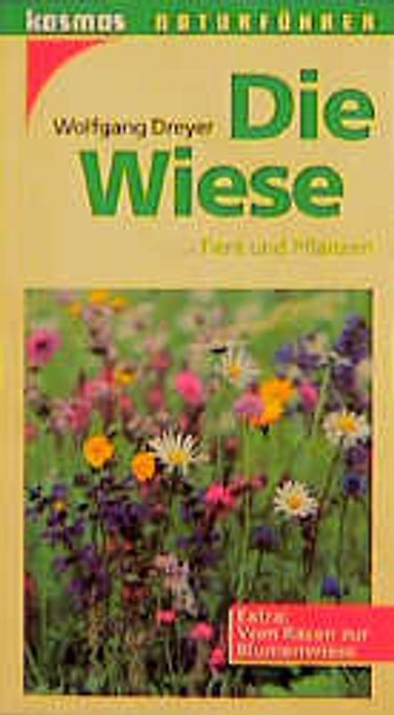 Die Wiese