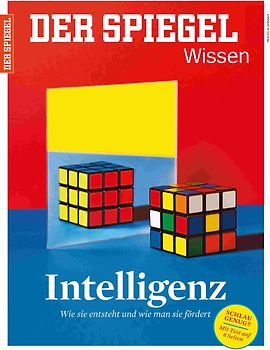 Intelligenz
