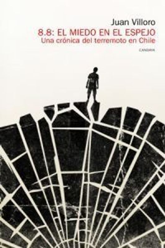 8.8, el miedo en el espejo : una crónica del terremoto en Chile