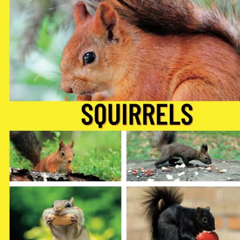 Squirrels: Toddler Book About Squirrels with Over 100 Real Photographs (Wordless Picture Books for Toddlers)