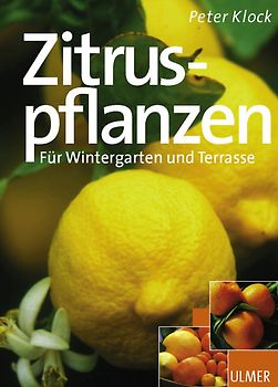 Zitruspflanzen