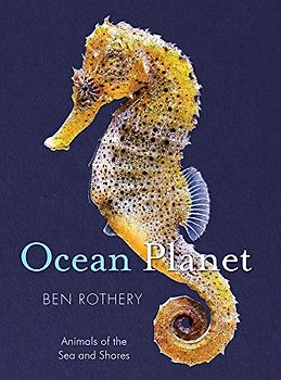 Ocean Planet
