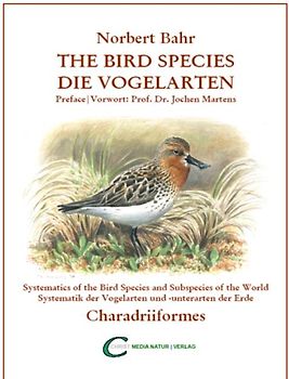 Die Vogelarten - The Bird Species, Charadriiformes