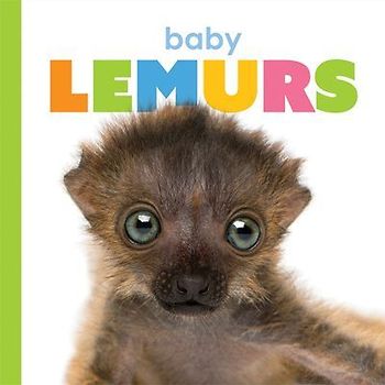 Baby Lemurs