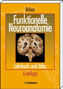Funktionelle Neuroanatomie