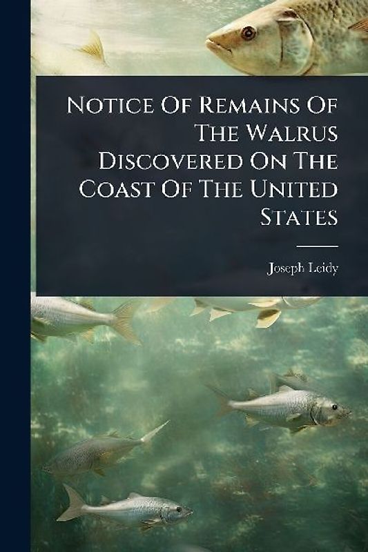 Notice Of Remains Of The Walrus Discovered On The Coast Of The United States