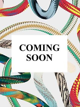 Rembrandt. Die Selbstporträts