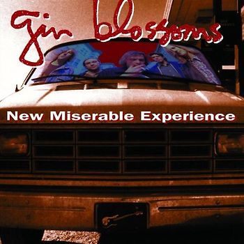 Gin Blossoms - New Miserable Experience