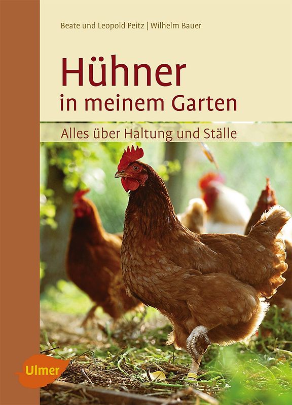 Hühner in meinem Garten