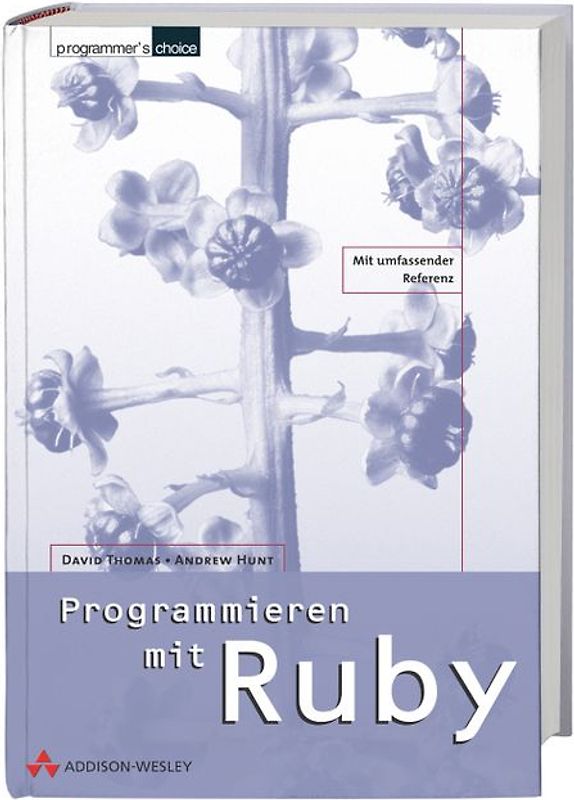 Programmieren mit Ruby