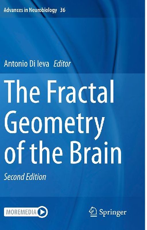 The Fractal Geometry of the Brain