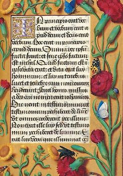 Carnet Blanc, Heures Anne de Bretagne, Oeillets