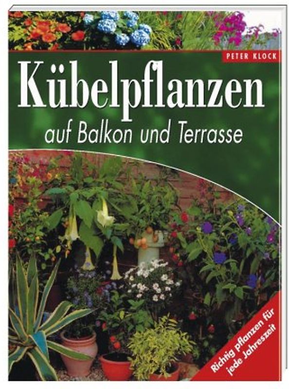 Kübelpflanzen auf Balkon und Terrasse
