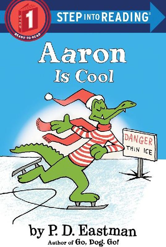 Aaron Is Cool
