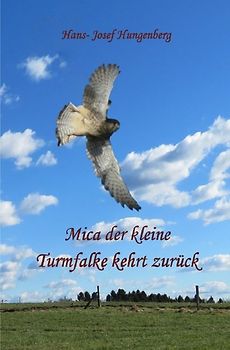 Mica der kleine Turmfalke kehrt zurück
