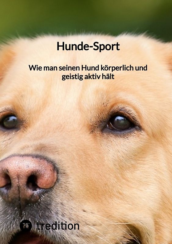 Hunde-Sport: Wie man seinen Hund körperlich und geistig aktiv hält